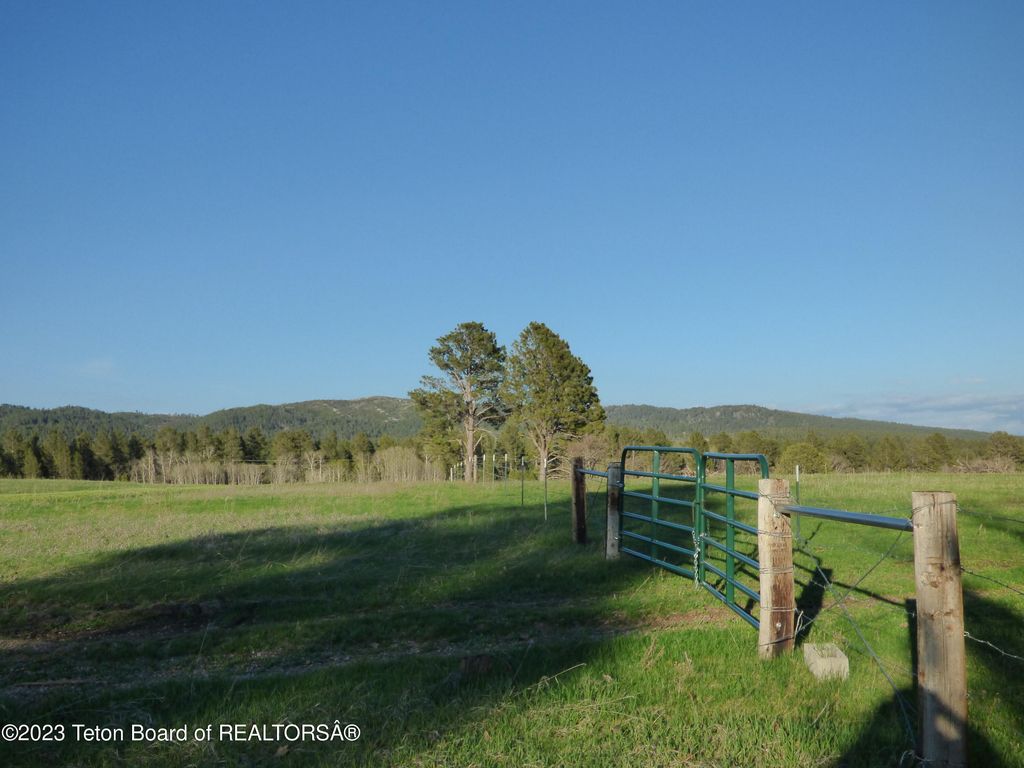 140 COW CAMP Road, Sundance, WY 82729 photo 63