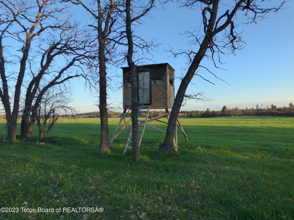 140 COW CAMP Road, Sundance, WY 82729 photo 72