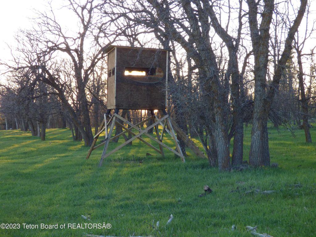 140 COW CAMP Road, Sundance, WY 82729 photo 73