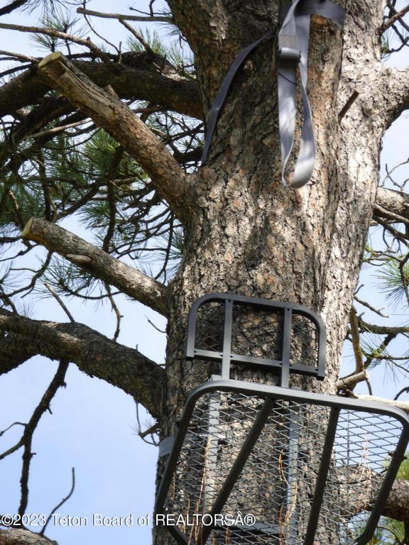 140 COW CAMP Road, Sundance, WY 82729 photo 83