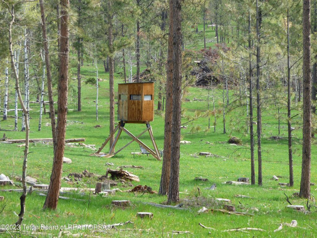140 COW CAMP Road, Sundance, WY 82729 photo 85