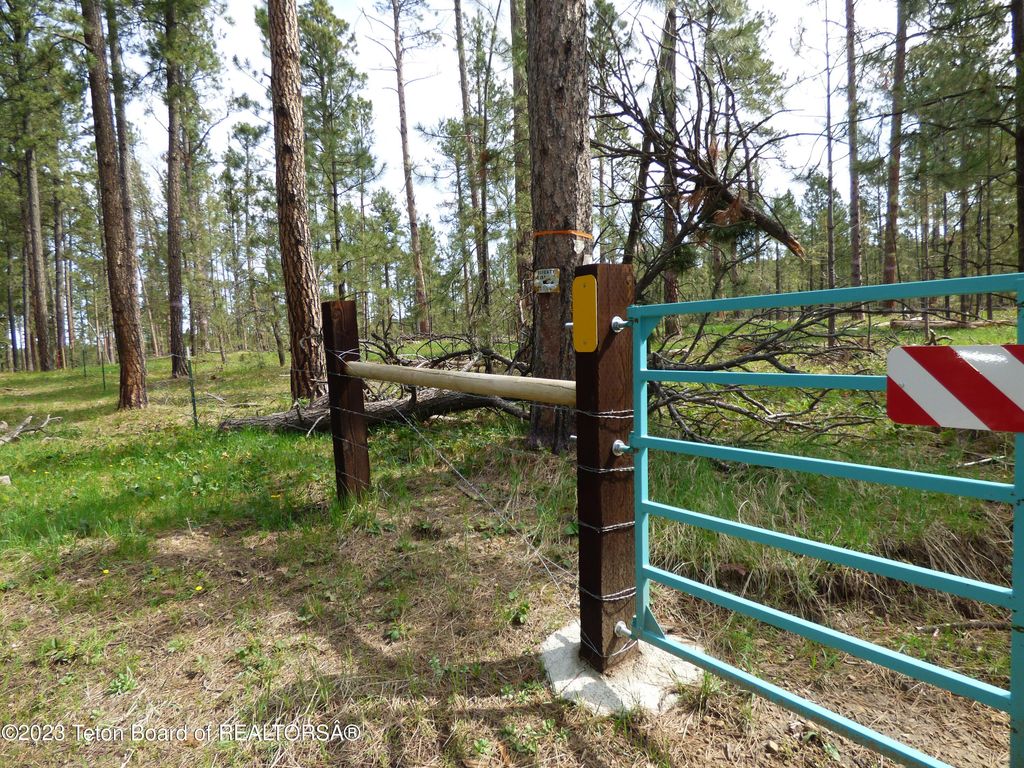 140 COW CAMP Road, Sundance, WY 82729 photo 90
