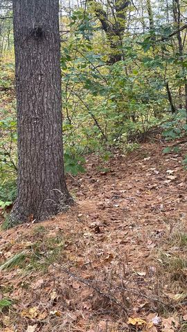 91 Whittemore Road, Pembroke, NH 03275