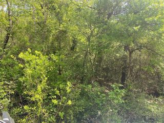 00 Hollybrook Drive, Plantersville, TX 77363