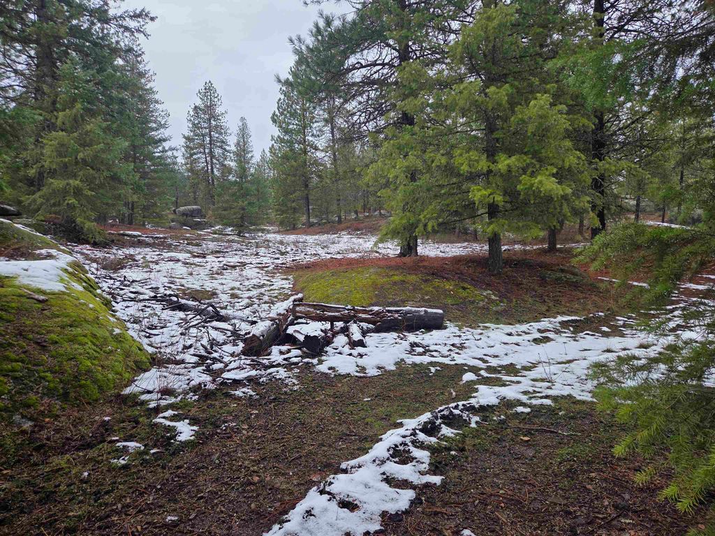 260 Slate Rd, Newport, WA 99156