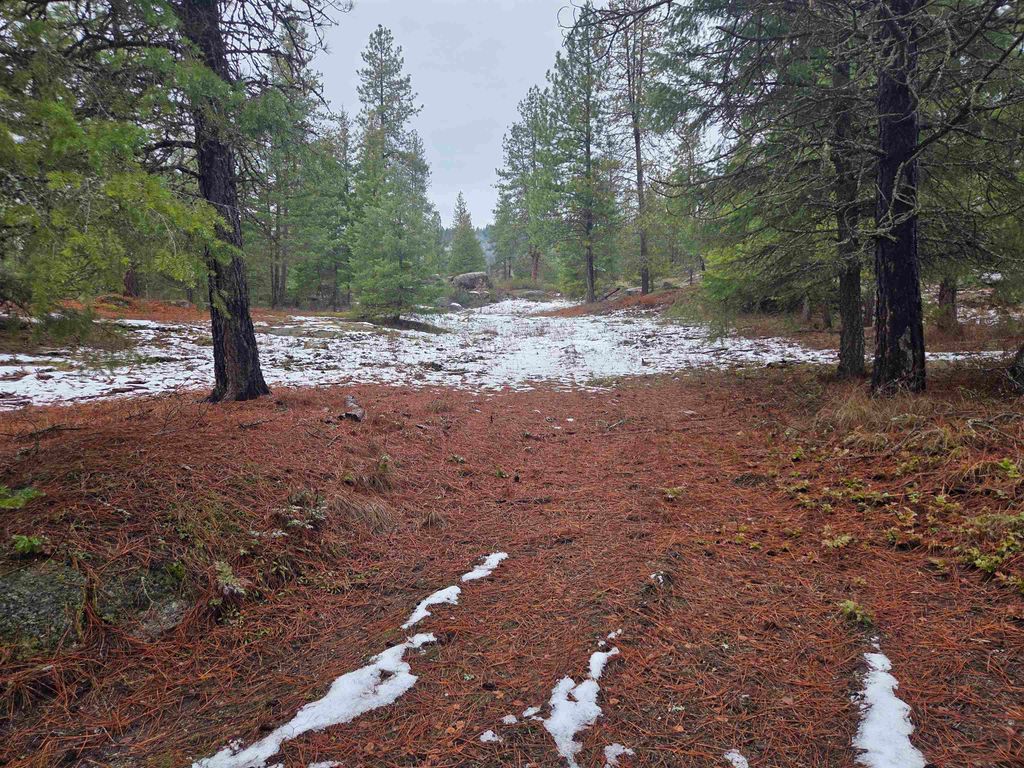 260 Slate Rd, Newport, WA 99156 photo 2