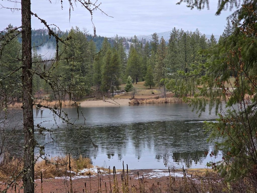 260 Slate Rd, Newport, WA 99156 photo 18