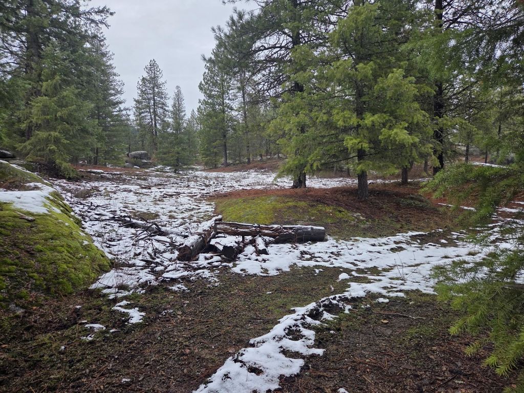 260 Slate Rd, Newport, WA 99156 photo 19