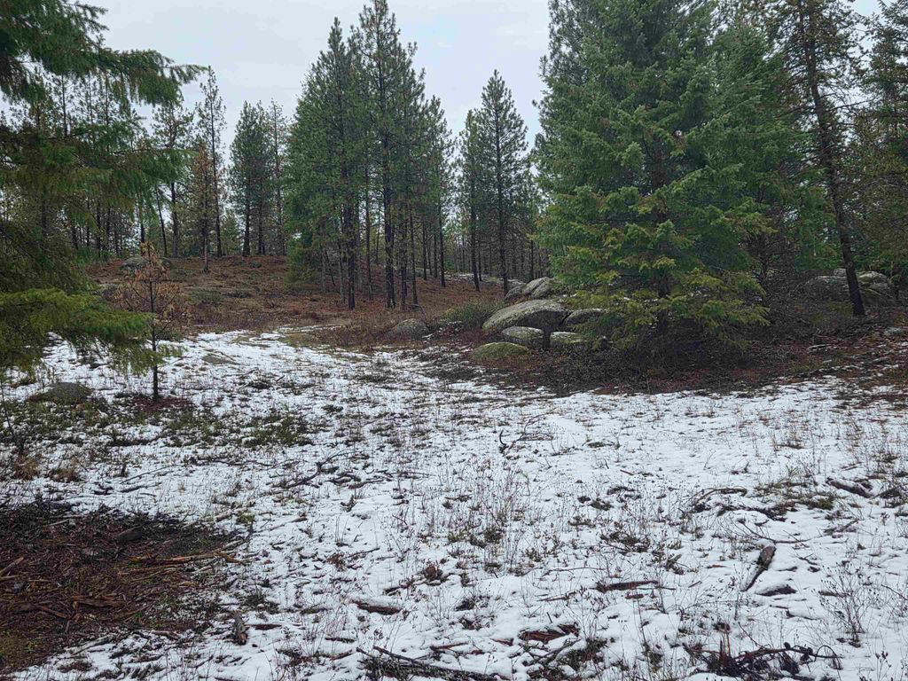 260 Slate Rd, Newport, WA 99156 photo 3