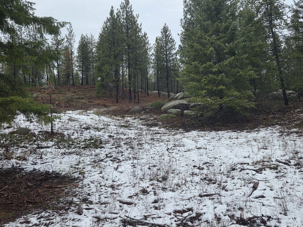 260 Slate Rd, Newport, WA 99156 photo 21