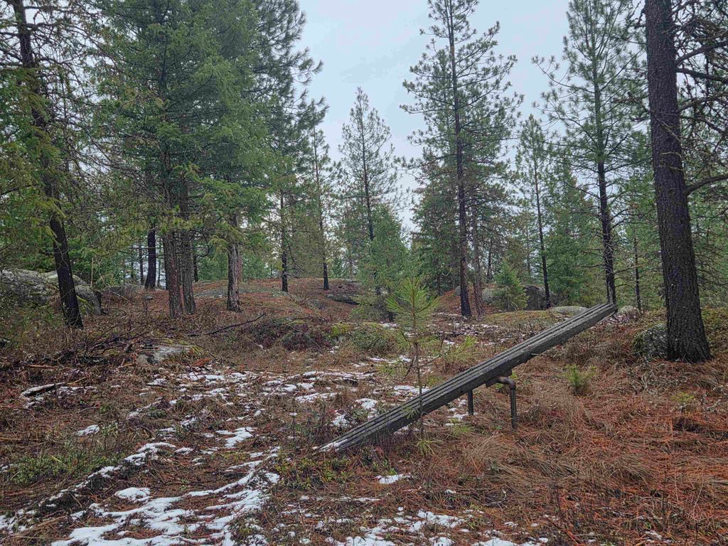 260 Slate Rd, Newport, WA 99156 photo 4