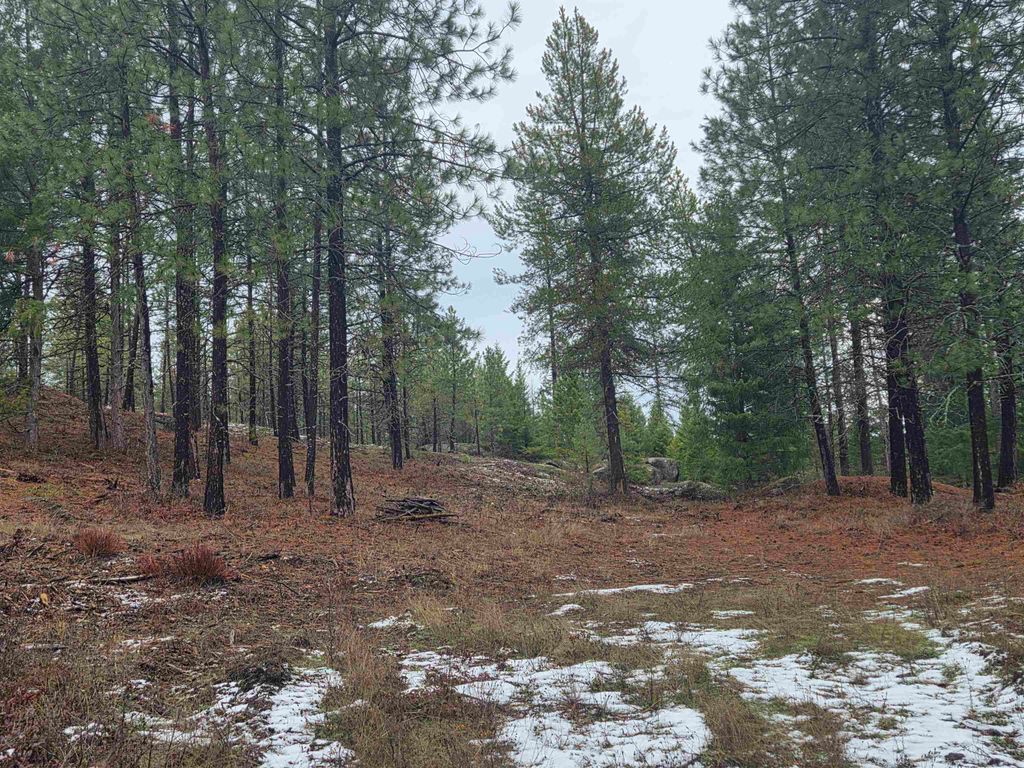 260 Slate Rd, Newport, WA 99156 photo 5