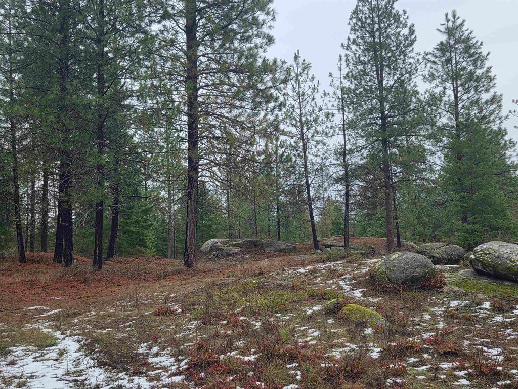 260 Slate Rd, Newport, WA 99156 photo 6