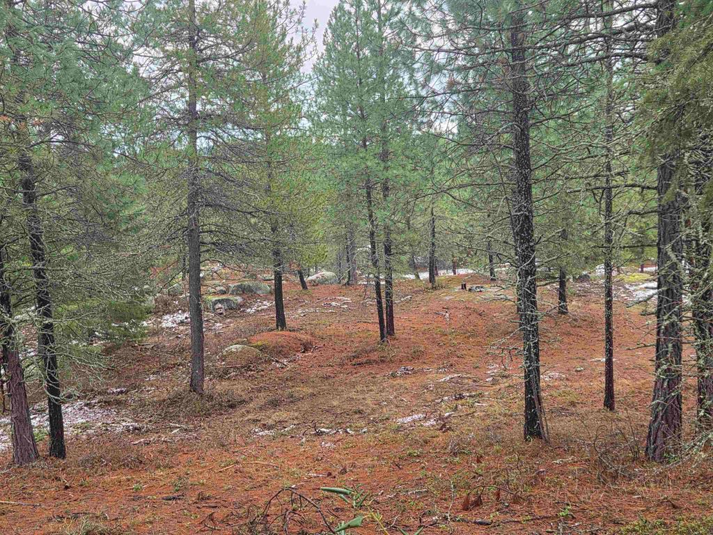 260 Slate Rd, Newport, WA 99156 photo 7