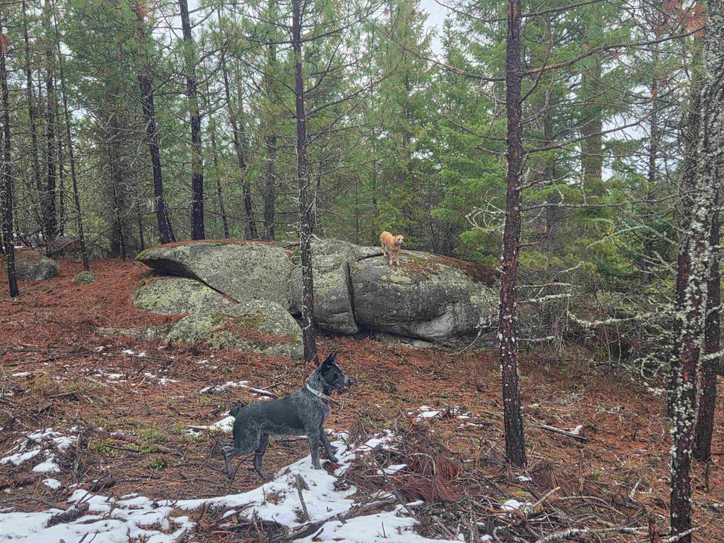 260 Slate Rd, Newport, WA 99156 photo 8