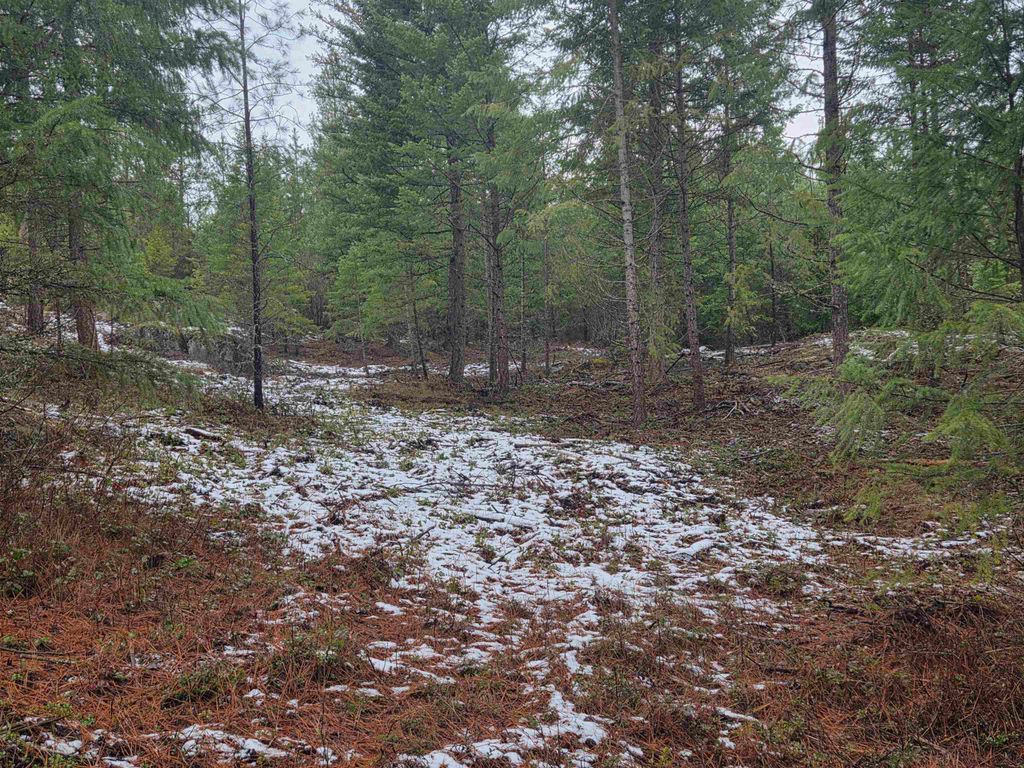 260 Slate Rd, Newport, WA 99156 photo 9