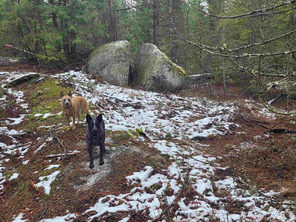 260 Slate Rd, Newport, WA 99156 photo 10