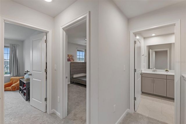 19431 MONARCH WIND WAY, Lutz, FL 33558