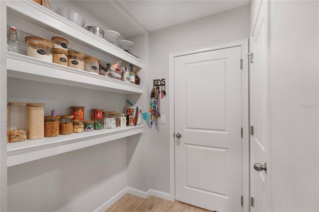 19431 MONARCH WIND WAY, Lutz, FL 33558