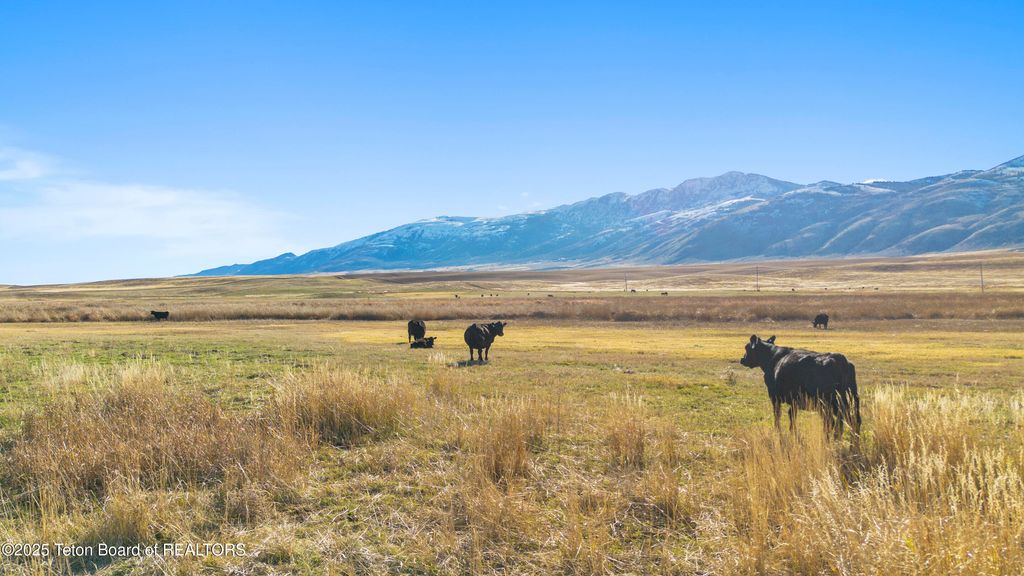 30236 S US HWY 91, Swanlake, ID 83281 photo 17