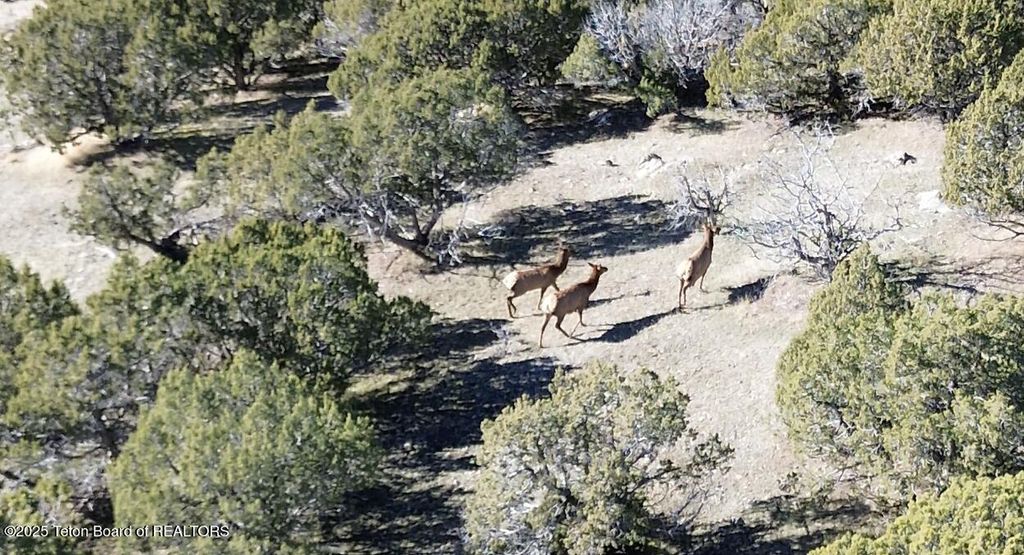 30236 S US HWY 91, Swanlake, ID 83281 photo 26