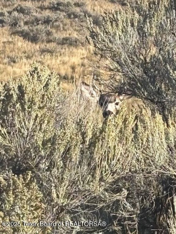 30236 S US HWY 91, Swanlake, ID 83281 photo 28