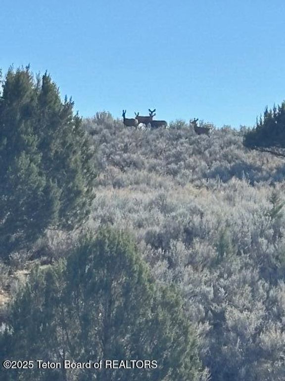 30236 S US HWY 91, Swanlake, ID 83281 photo 29