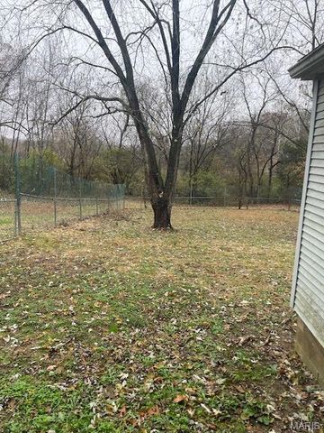 432 Hickory Street, St Clair, MO 63077