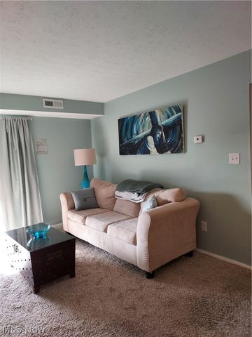 16395 Heather Lane 303, Middleburg Heights, OH 44130