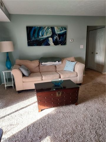 16395 Heather Lane 303, Middleburg Heights, OH 44130