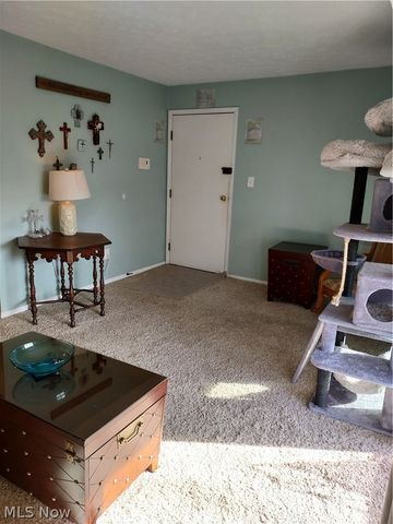 16395 Heather Lane 303, Middleburg Heights, OH 44130