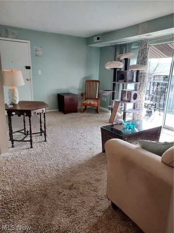 16395 Heather Lane 303, Middleburg Heights, OH 44130