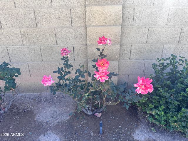 8615 W TOWNLEY Avenue, Peoria, AZ 85345