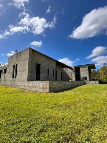 1029 VAN DYKE ROAD, Lutz, FL 33548