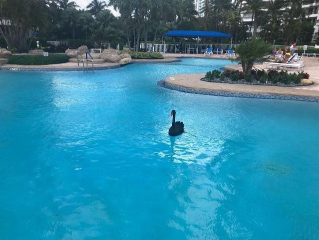 19195 NE 36th Court 2703, Aventura, FL 33180