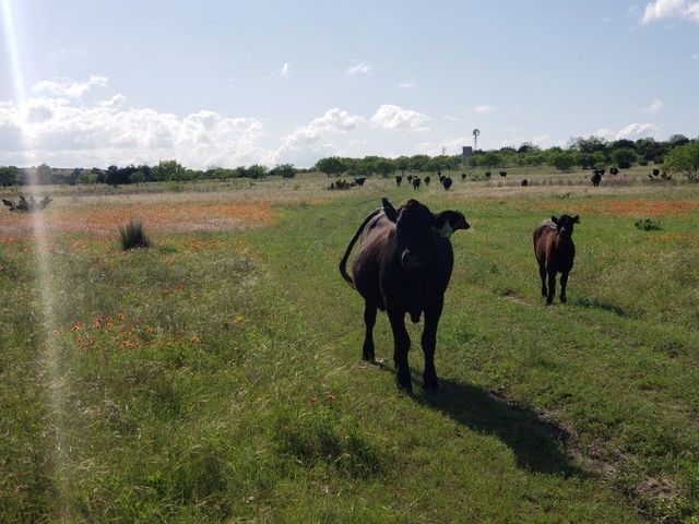 7947 CR 1255, Lampasas, TX 76550