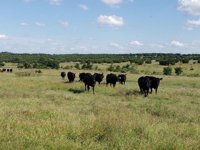 7947 CR 1255, Lampasas, TX 76550