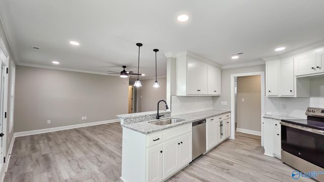 25543 Vaughn Street, Elkmont, AL 35620