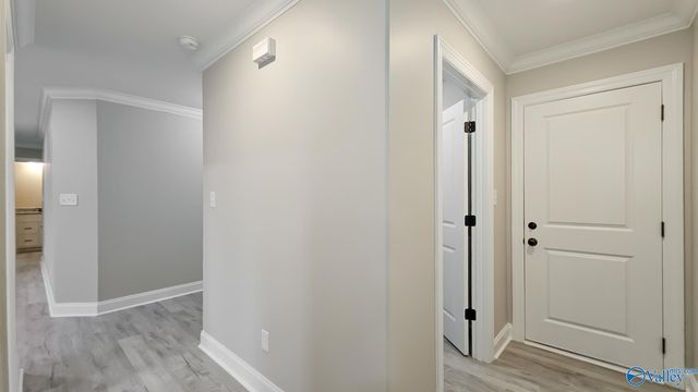 25543 Vaughn Street, Elkmont, AL 35620