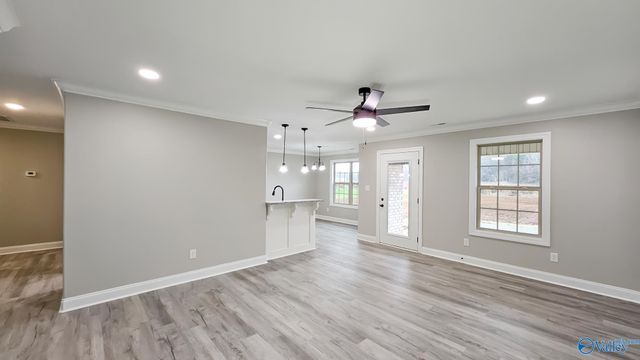 25543 Vaughn Street, Elkmont, AL 35620