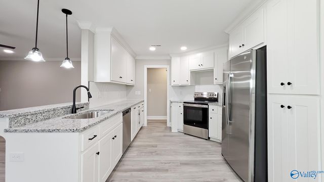 25543 Vaughn Street, Elkmont, AL 35620