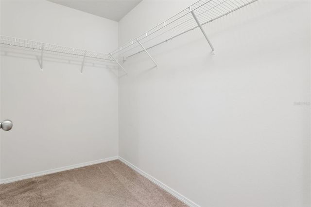 4751 WHITE SANDERLING COURT, Tampa, FL 33619
