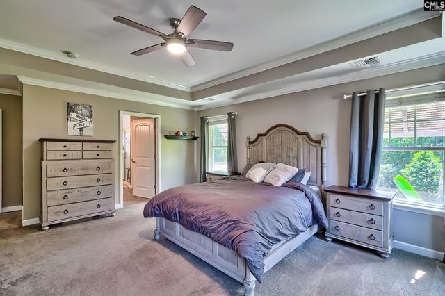 442 Maria Posada Court, Chapin, SC 29063