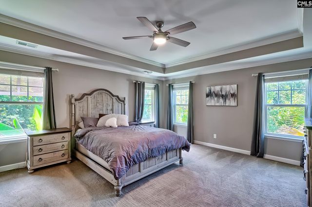 442 Maria Posada Court, Chapin, SC 29063