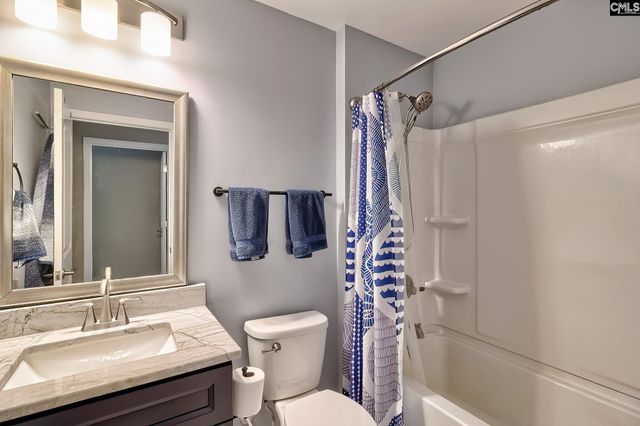 442 Maria Posada Court, Chapin, SC 29063