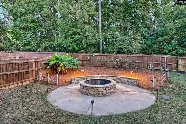 442 Maria Posada Court, Chapin, SC 29063