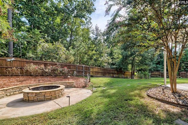 442 Maria Posada Court, Chapin, SC 29063
