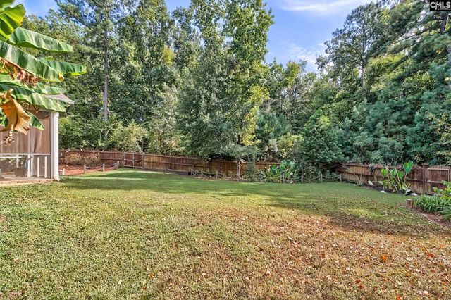 442 Maria Posada Court, Chapin, SC 29063
