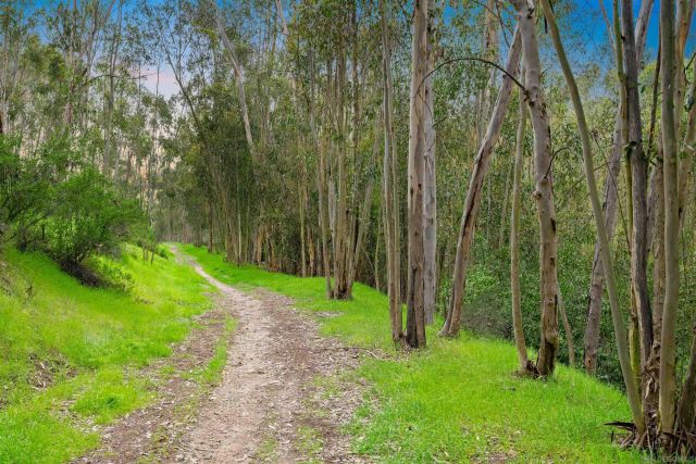 12294 Spruce Grove Pl, San Diego, CA 92131