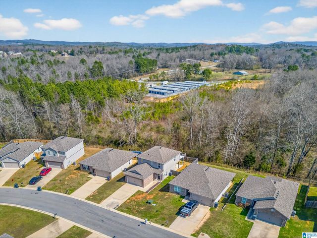 221 HIGHLAND VIEW DRIVE, Lincoln, AL 35096